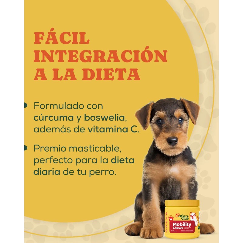 Premios Perro Glucosamina Colágeno Suplemento Natural X2