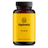 Sapientia Studia Nootrópico 100% natural - Complejo B, Leticina de