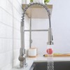Friho Brushed Nickel Kitchen Faucets with Pull Down Sprayer, Stainless