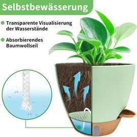 TIKTALK 20 cm Self-Watering Pot Set of 3 - High-Quality Flower Pot with Watering System and Water Level Indicator. Ideal for Holidays, Office & Beginners. Protects Plants from Drying Out for 10+ Days