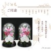 Art Four Seasons Phalaenopsis Denfare Dome Versus Design SET Pink