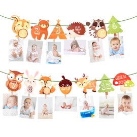 Photo Garland 1 Birthday First Birthday Garland Photo Banner, Safari Photo Banner 1st Birthday Garland 12 Months Set for Boys Girls Party Christening Birthday Decoration