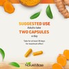 Nature's Base Turmeric and Ginger Supplement - with Curcumin, Apple