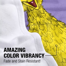 LOGOVISION Sesame Street Lightweight Baby Blanket, 30"X40", Big Bird Painted Unisex for Infants Girls & Boys