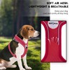 Dog Harness, Soft Air Mesh Puppy Harness, No Pull Dog