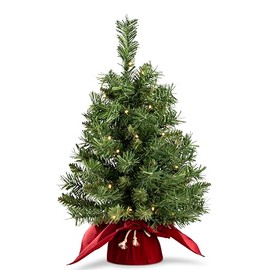212 Main Majestic Spruce 2 FT Christmas Tree in Burgundy Cloth Bag with 35 Warm White Battery Operated LED Lights