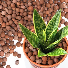 T4U Leca Clay Pebbles for Plants, 11.5qt 10-20 mm Clay Balls for Indoor Plants, Natural Clay Pebbles for Orchid Potting Mix, Hydroponic, Leca Pots, Plant Drainage, Garden Soil