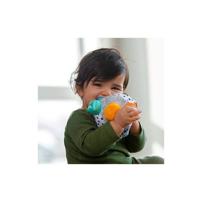 Sassy Bumpy Badger Educativo Juguete S80931