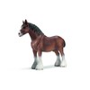 Clydesdale Stallion