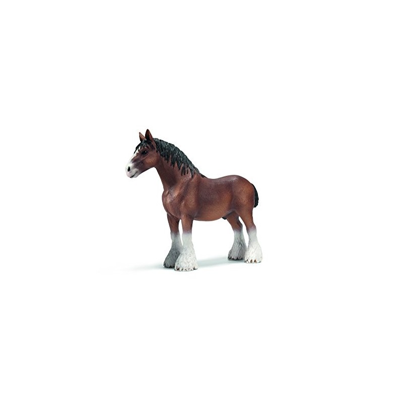 Clydesdale Stallion