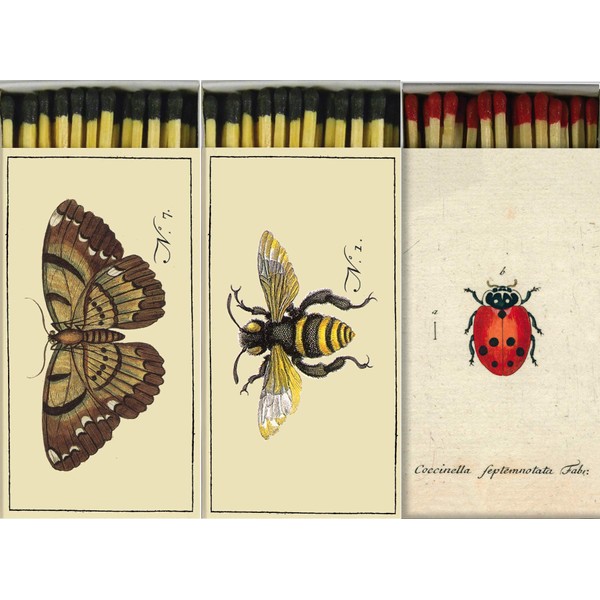 Decorative Little Ladybug, Butterfly and Bee Match Boxes with Long Kitchen Matches Great for Lighting Candles, Grills, Fireplaces and More | Set of 3 Large Match Boxes