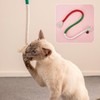 CWPFVQA 3-Piece Cat Toy, Interactive Cat Toy, Chew Toy, Pet