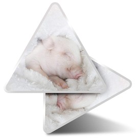 2 x Triangle Stickers 10 cm - Adorable Sleepy Piglet Piggy Pig Fun Decals for Laptops,Tablets,Luggage,Scrap Booking,Fridges #16978