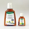 Rausch Coltsfoot Anti Dandruff Shampoo 200ml+(40ml given)(SH) - Basic / 라우쉬 콜츠푸트 안티 댄드러프 샴푸 200ml+(40ml증정)(SH) - 기본