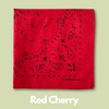The Peacock Crew Pack of 4 Elegant Bandanas in Premium