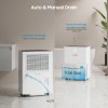 Glowells Compressor Dehumidifier 80 Pints Smart Humidity Control Home Basement