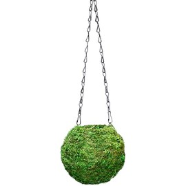 SuperMoss (29348) Kokedama Planter, 6", Fresh Green