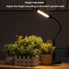 CHANGSHENG Grow Lights for Indoor Plants Desk LED Grow Light