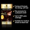 Schwarzkopf Oleo Intense, Permanent Red Hair Dye, Ammonia Free, Up