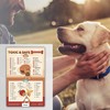 Food Dogs Shouldn’t Eat Magnet | List of Toxic and