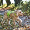 Hunter Reflective Dog Vest, l