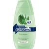 SCHAUMA Shampoo 2 x 400 ml 7 Herbs