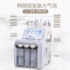 Alsu-eobseum 아쿠아필링 클렌저 미용기기 산소 히드라뷰티 필 제트 [그레이 식스인원
