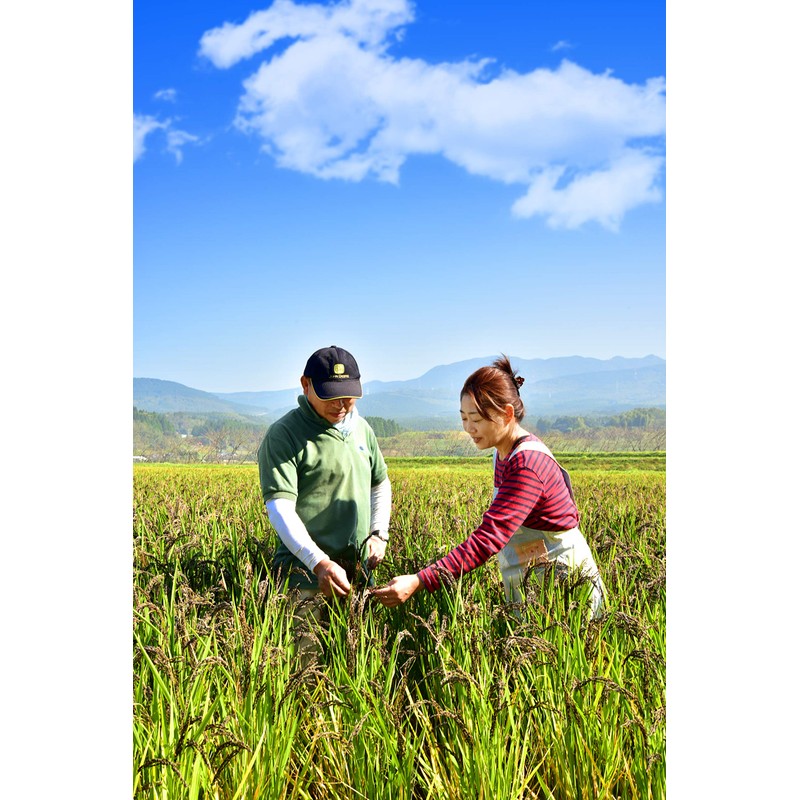 Ronowa Organic Roasted Brown Rice Flour, 10.6 oz (300 g)