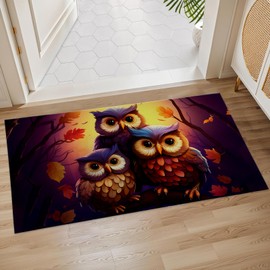 Plistiz Colorful Owl Indoor Door Mat, 17x29.5 Inch, Floor Area Rug for Entryway, Living Room, or Bathroom, Non-Slip Doormat, Animal Owl Home Decor Rug Gifts