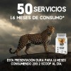 Stormcheetah Suplemento Creatina + Glutamina 1 Kg Sabores