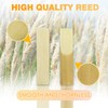 20Pack Bb Clarinet Reeds, Strength 2.5, Traditional Style with Portable