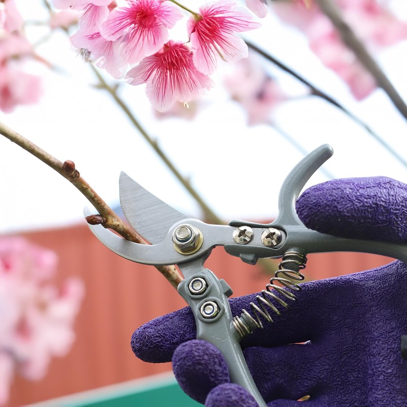 Dekton Mini Bypass Secateurs – Compact Precision Pruner for Small