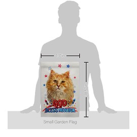 Breeze Decor Patriotic Ginger Long Hair Garden Flag Set Mailbox Hanger Cat Kitten Meow Spoiled Paw Fur Pet Nature Farm Animal Creature House Banner Small Yard Gift Double-Sided, Made in USA