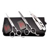 EVOLVING Kit Tijeras Silver 6 Pulgadas Barbero Estilista Evolving