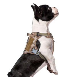 BUMBIN Tactical Dog Harness for Small Dogs No Pull, Famous TIK Tok No Pull Puppy Harness, Fit Smart Reflective Pet Walking Harness for Training, Adjustable Dog Vest Harness with Handle Desert Camo S