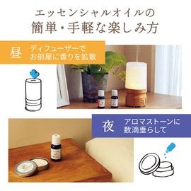 Daily Delight Essential Oil, Hinoki, 0.3 fl oz (100 ml) (100% Natural Essential Oils, Aroma, Tree Type, Relaxing Tree Scent)