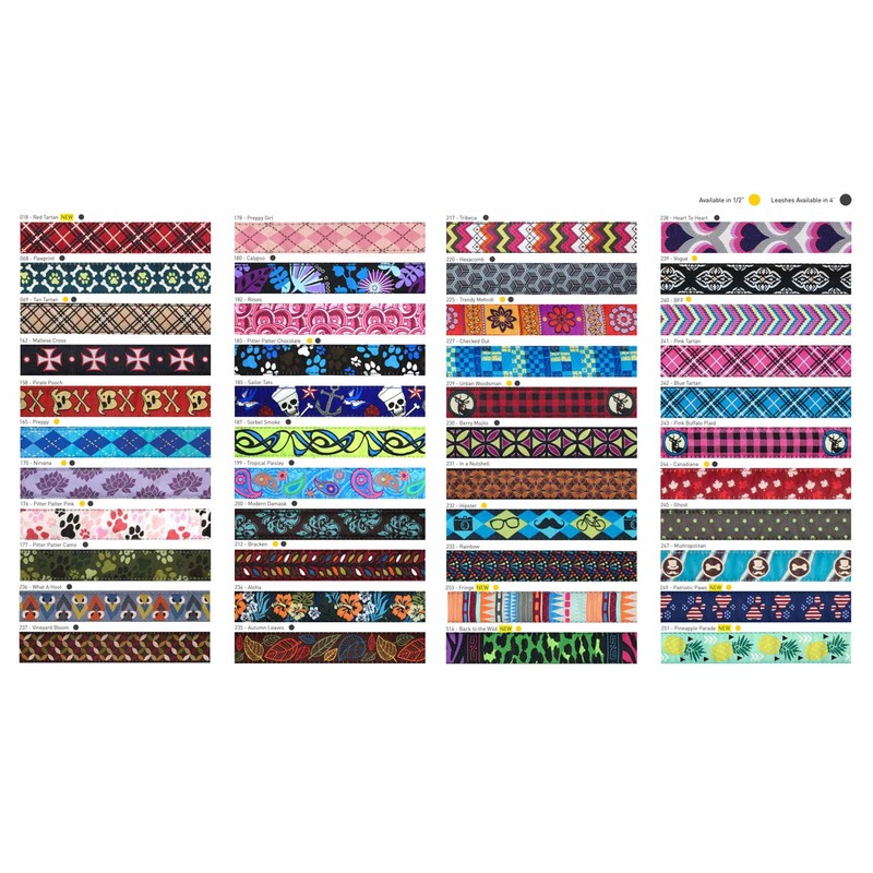 RC Pets 1" Martingale Training Collar, Medium, Pineapple Parade