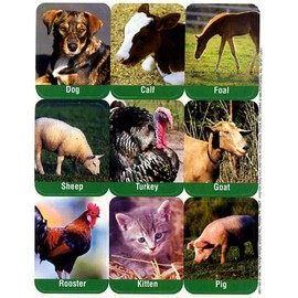 Eureka Farm Animals Real Photos Stickers