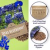 Texas Bluebonnet Wildflower Seeds - Bulk 1/2 Ounce Packet -