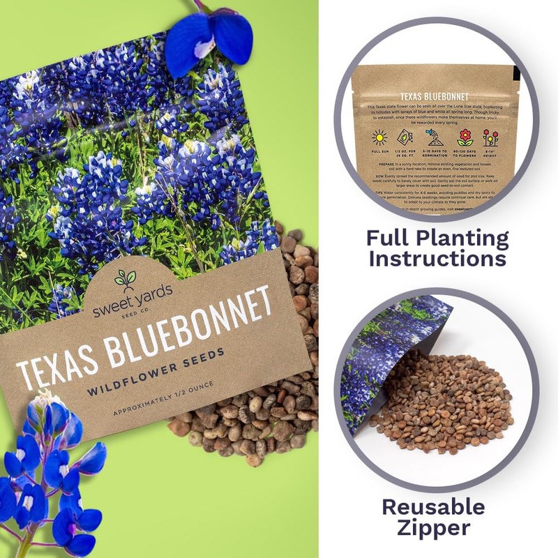 Texas Bluebonnet Wildflower Seeds - Bulk 1/2 Ounce Packet -