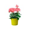 elho Basics Potholder Allin1 Metal Flower Pot, Lime Green, 27