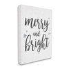 Stupell Industries Festive Merry and Bright Winter Phrase Snowflakes, Design