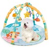 Cutie Patootie Playhouse Puppy Play Gym - Dog & Cat