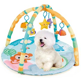 Cutie Patootie Playhouse Puppy Play Gym - Dog & Cat Activity Mat with Squeaky Toys - Interactive Sensory Mat for Pets (Suitable for Dogs & Cats Up to 25 lbs)