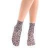 Gi&Gi 6 Pairs Ladies 60 Denier Medium Length Purple &