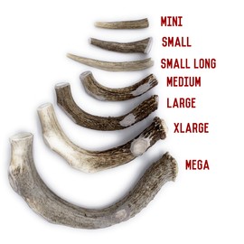 Perfect Pet Chews Deer Antler Dog Chew - Grade A, All Natural, Organic, and Long Lasting Treats - Made from Naturally Shed Antlers in The USA