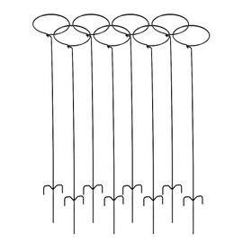 Erva Premium Plant Support Stakes 36 inches, Single Stem Garden Flower Support - Pack of 8 - Made in USA