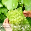 Fruit Protection Bags, Fetanten 50 PCS 8 x 12 Inch