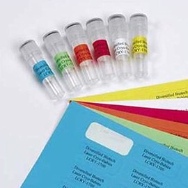 Diversified Biotech SIDE-1200 Polyolefin Sidewall Cryo-Tags Laser Label, Use with Microplate, 0.25" Width x 1.50" Length, Green (Pack of 3120)