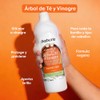 Babaria Shampoo Adultos Y Niños